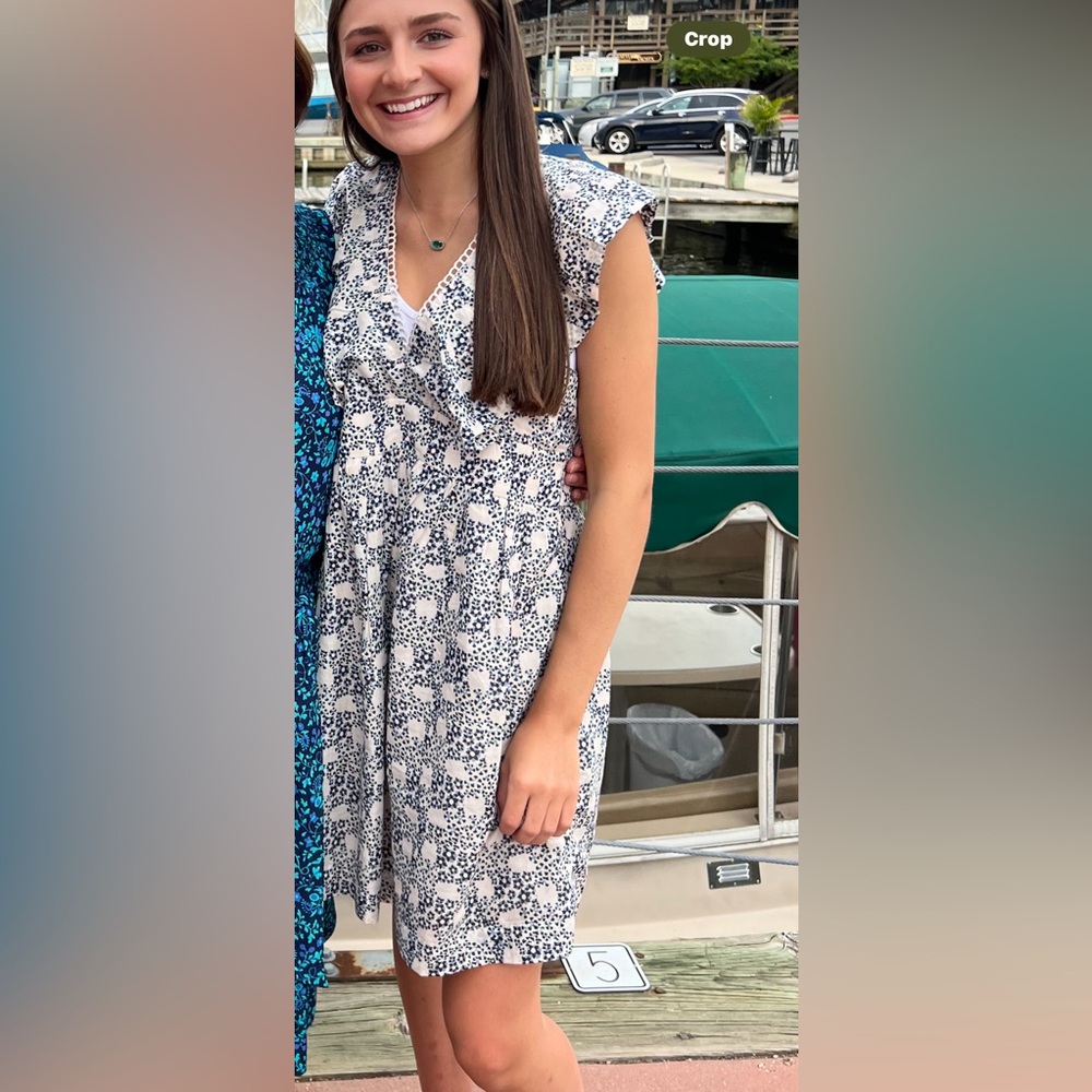 Anthropologie Floral Blue and White Dress